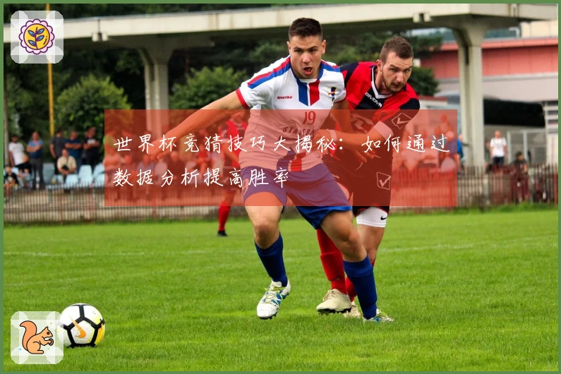 世界杯竞猜技巧大揭秘：如何通过数据分析提高胜率