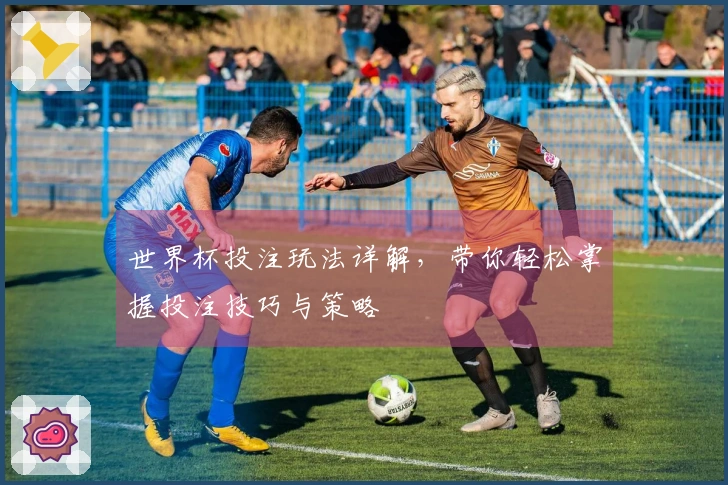 世界杯投注玩法详解，带你轻松掌握投注技巧与策略