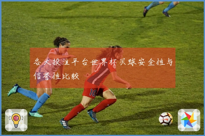 各大投注平台世界杯买球安全性与信誉性比较