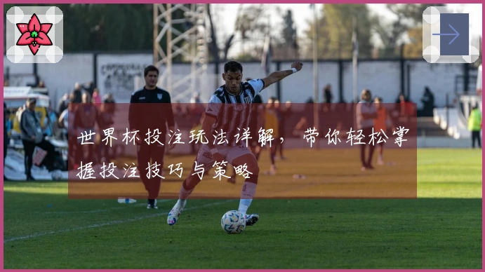 世界杯投注玩法详解，带你轻松掌握投注技巧与策略