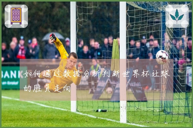如何通过数据分析判断世界杯让球的胜负走向