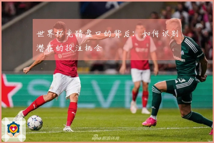 世界杯竞猜盘口的背后：如何识别潜在的投注机会