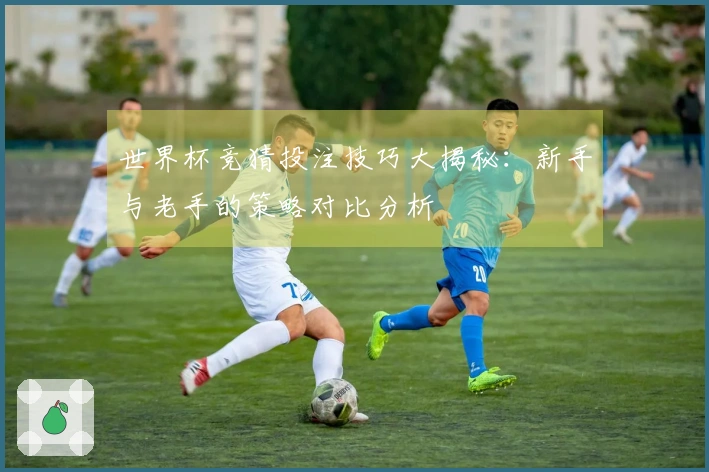 世界杯竞猜投注技巧大揭秘：新手与老手的策略对比分析
