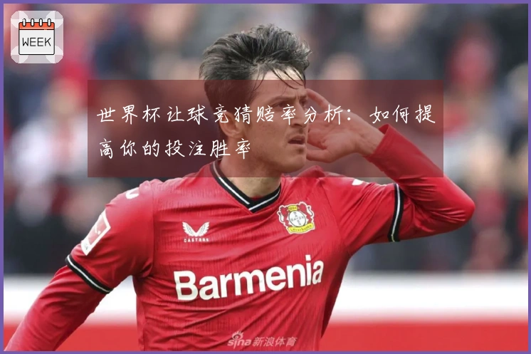世界杯让球竞猜赔率分析：如何提高你的投注胜率