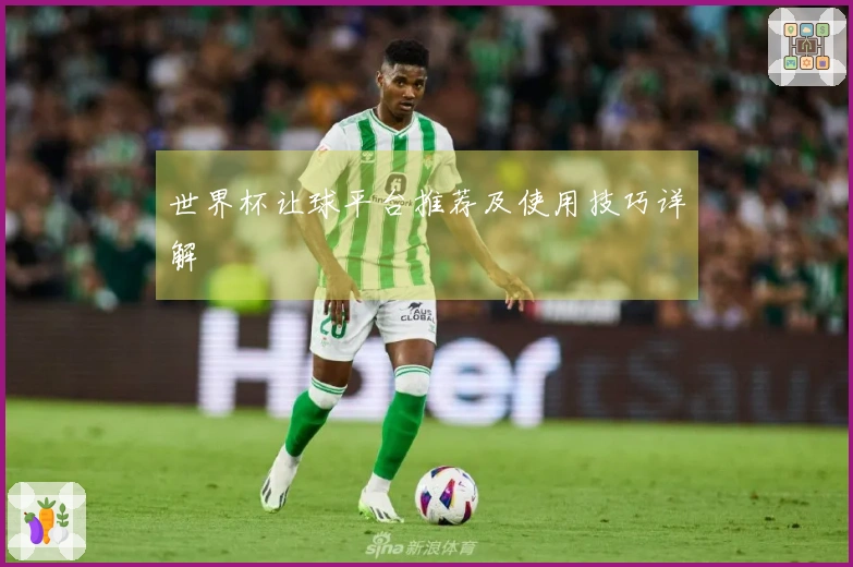 世界杯让球平台推荐及使用技巧详解